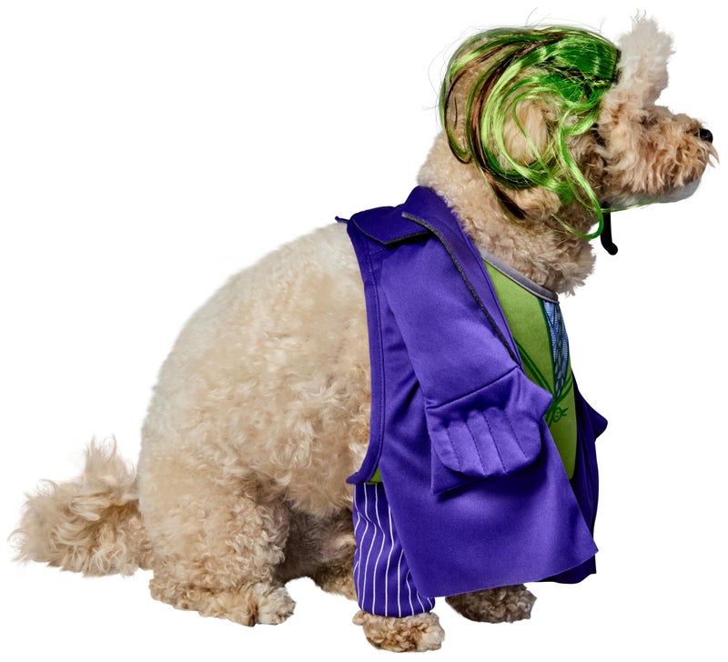 Rubies DC Batman The Dark Knight: The Joker Pet Costume for Dogs or Cats by Rubies, XL - Image 4